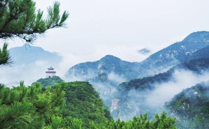凝聚基层合力，激发社会治理新动能——镇江经开区召开社会治理工作交流会